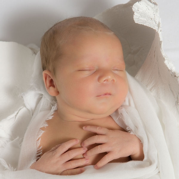 safe newborn portrait