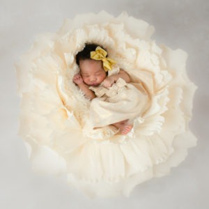 Pre-Black Friday Special newborn baby photography, girl in cream flower, Charlotte, NC, Clover SC
